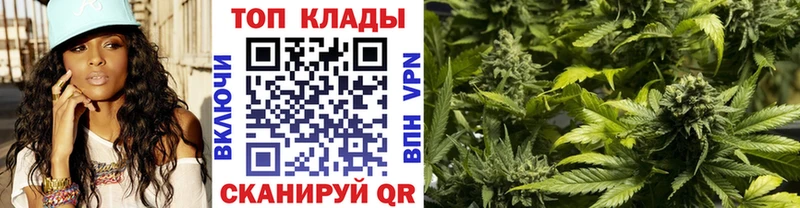 Как найти закладки Нижнеудинск АМФ  Cocaine  Вейп ТГК  Бошки Шишки  Гашиш 