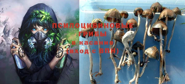 гашик Баксан